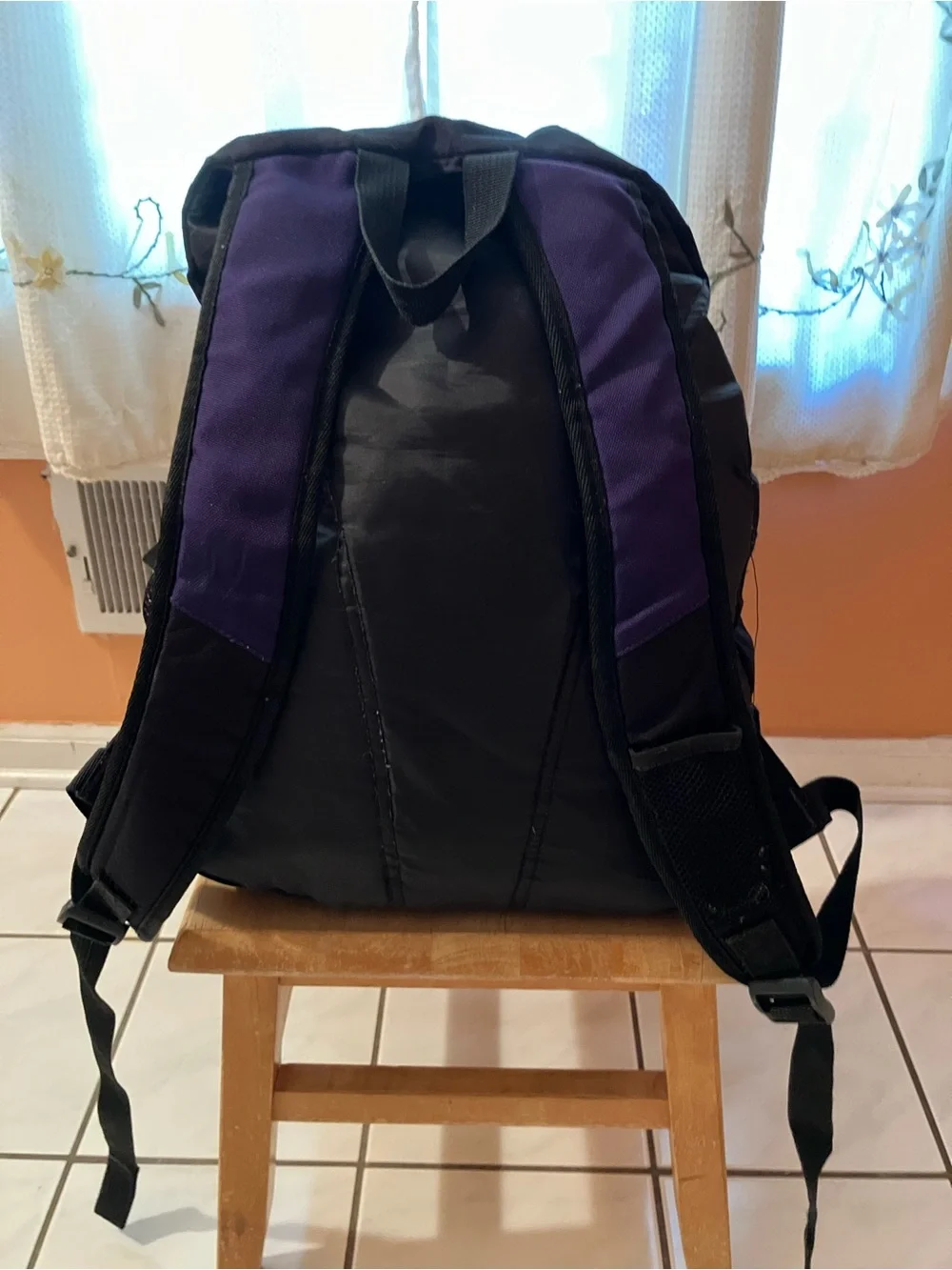 Purple and Gray  Backpack